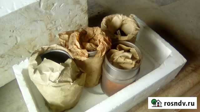 Поршневая на газ 24 Тольятти - изображение 1