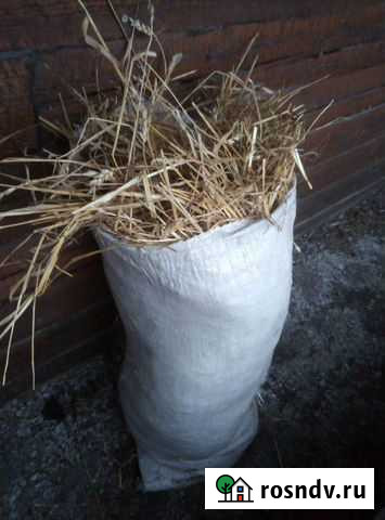 Солома Белово - изображение 1