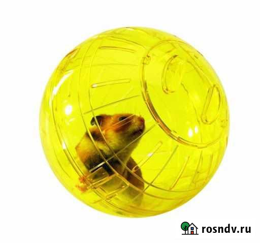 Прогулочный шар Улан-Удэ - изображение 1