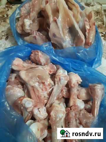 Суп набор курицы, корм для собак Волгоград - изображение 1