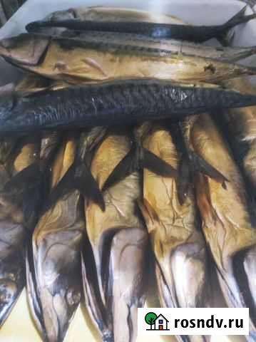 Рыба Евпатория - изображение 1