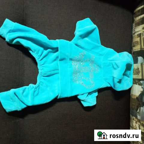 Одежда для маленьких собак Волгоград - изображение 1