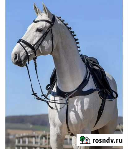 Витамины А Ульяновск - изображение 1