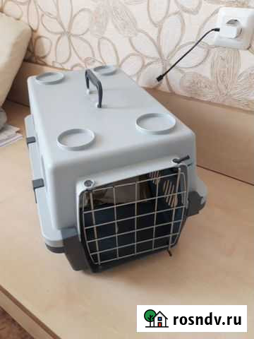 Переноска в аренду Ижевск - изображение 1