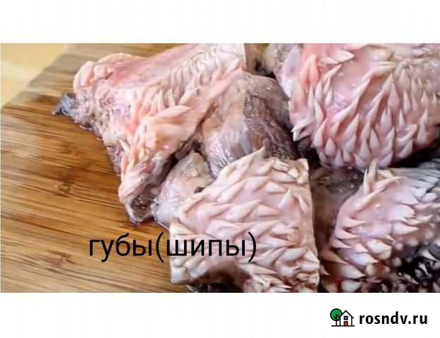 Мясо для собак и кошек Одинцово - изображение 1