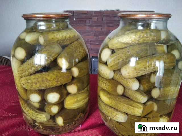 Огурцы соленые Липецк - изображение 1