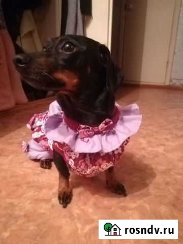 Комбинезон Иркутск - изображение 1