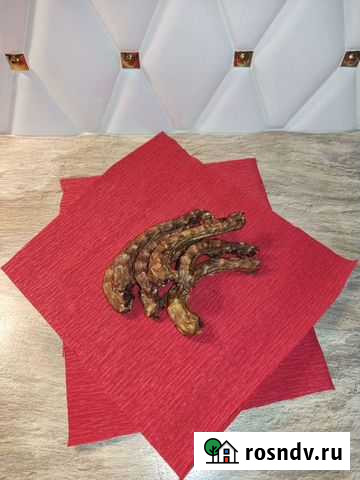 Погрызушки для собак Богородск - изображение 1