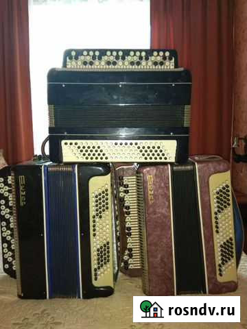 Баяны Новосибирск - изображение 1