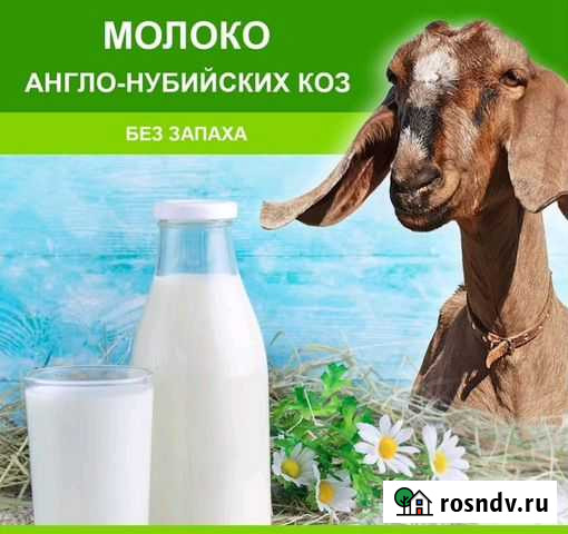 Козье молоко Суровикино - изображение 1