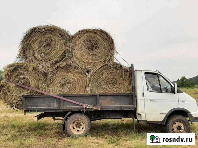 Продам сено Хомутово - изображение 1