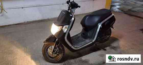 Honda Dank F74 Краснодар