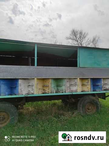 Пчелоприцеп Ильский - изображение 1