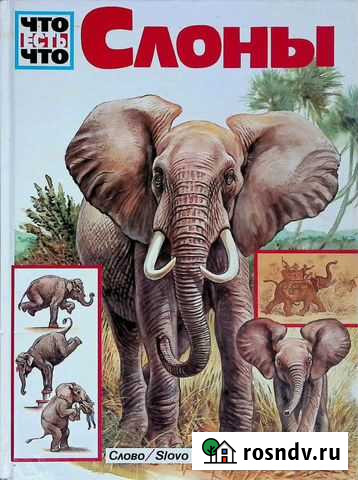 Книга Слоны Самара - изображение 1