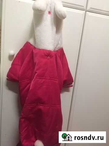 Комбинезон для собаки Красногорск - изображение 1