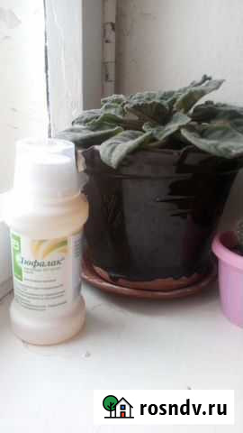 От запора Тверь - изображение 1