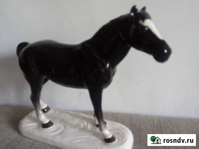 Конь Липецк - изображение 1