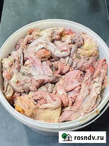 Техзачистка говяжья для собак Владимир - изображение 1