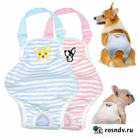 Трусы для собаки Нижний Новгород - изображение 1