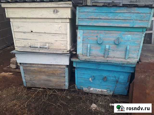 Улей для пчел Муслюмово - изображение 1