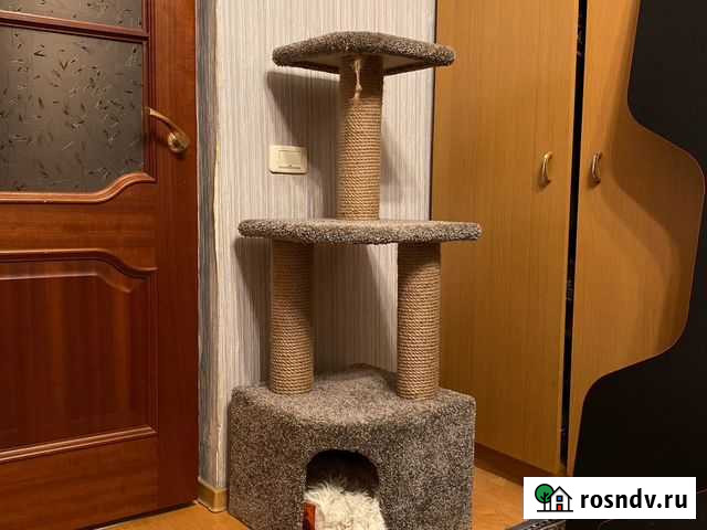 Кошачий домик Лыткарино - изображение 1