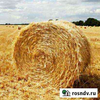 Сено на корм животным Красногорск