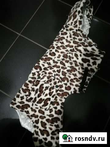 Одежда для собак Иркутск - изображение 1