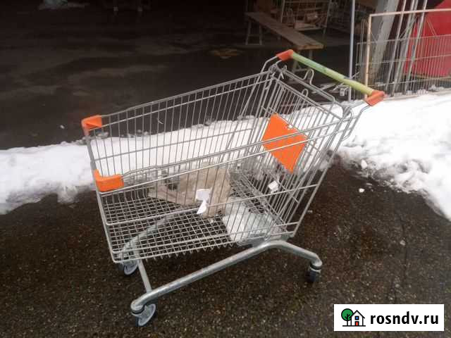 Тележка для покупателей супермаркета 15 шт Краснодар - изображение 1