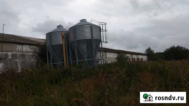 Птицеферма Казань - изображение 1