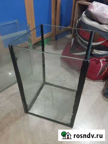 Аквариум Санкт-Петербург - изображение 1