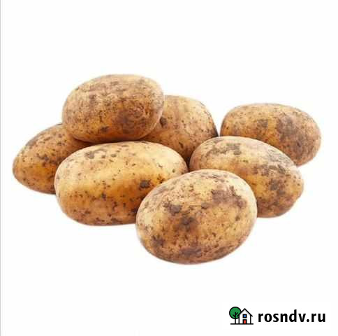 Продам картофель с доставкой Нефтекамск - изображение 1