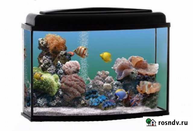 Аквариумы, террариумы, черепашник рыбки и растения Краснодар - изображение 1