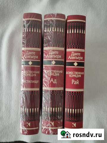 Данте Алигьери Петропавловск-Камчатский - изображение 1