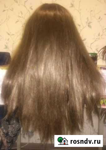 Парик Санкт-Петербург - изображение 1