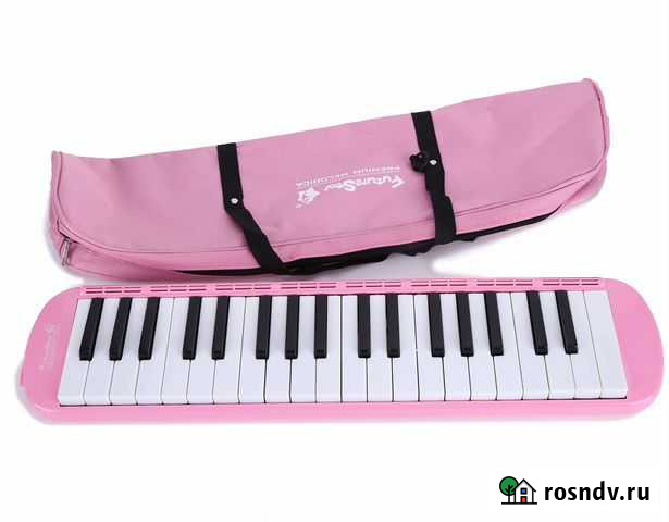 Мелодика Future Star FF-37 PK (матерчатый кейс) Москва - изображение 1