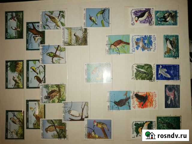 Марки Петрозаводск - изображение 1