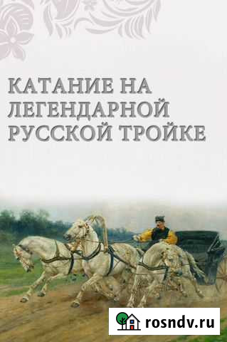 Катание на лошадях Москва - изображение 1