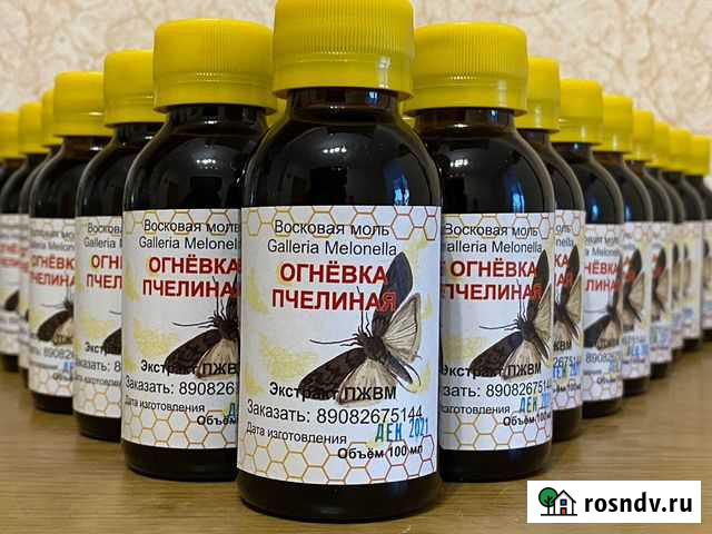 Огнёвка Пчелиная Восковая Моль Пермь - изображение 1
