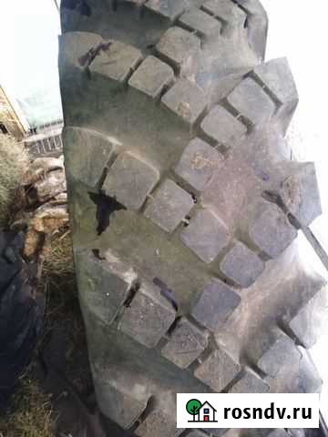 Шины автомобиля Урал Заринск - изображение 1
