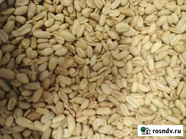 Арахис оптом Новоалтайск - изображение 1