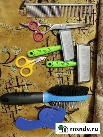 Для груминга Новосибирск - изображение 1