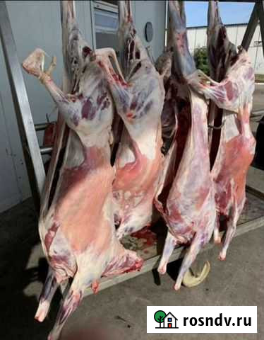 Мясо баранина Астрахань - изображение 1