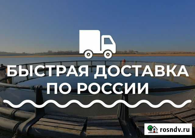 Садок для выращивания малька Октябрьское - изображение 1