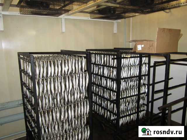 Морозильная камера для рыбы -18С Вналичии Санкт-Петербург - изображение 1