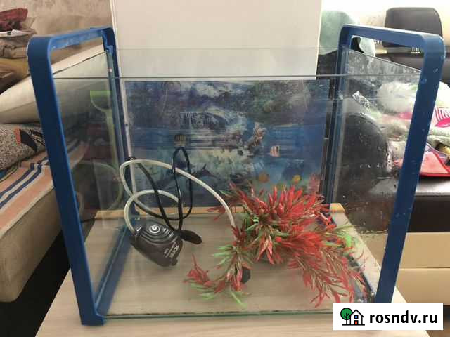 Аквариумы Раменское - изображение 1