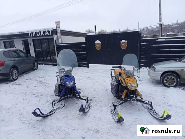 Продам снегоход Dingo Т-150 Хвалынск - изображение 1