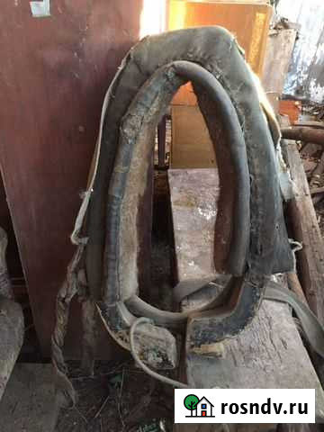 Хомут для лошади Краснослободск - изображение 1