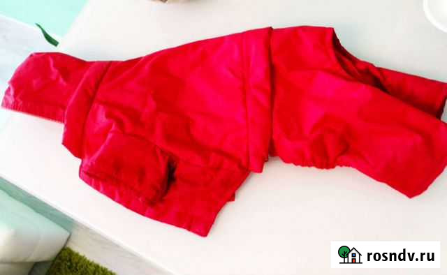 Комбинезон для маленькой собаки Мурино - изображение 1