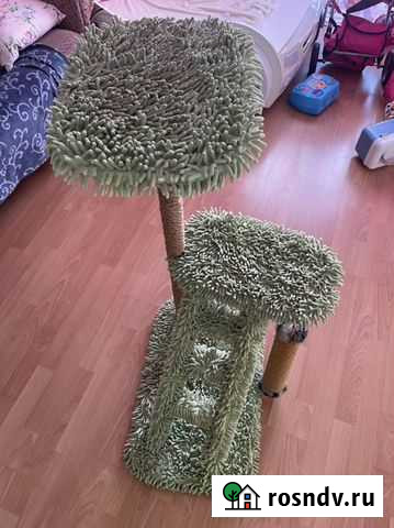 Когтеточка для кошек Биробиджан - изображение 1