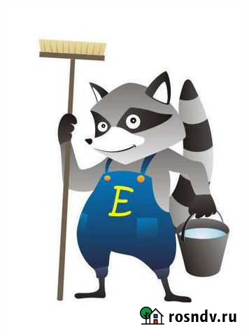 Уборка антисанитарных квартир любой сложности Королев - изображение 1